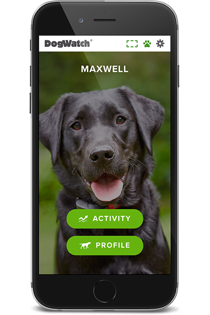 DogWatch Down East, Greenville, North Carolina | SmartFence WebApp Image